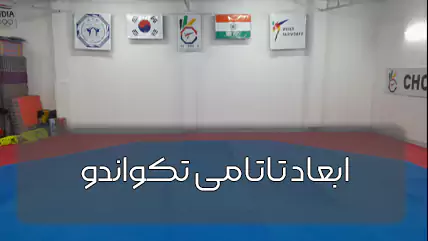 ابعاد تاتامی تکواندو